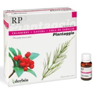 PLANTAGGIO RP 20amp. D`HERBOS