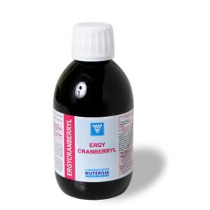 ERGYCRANBERRYL 250 ML NUTERGIA S.L.